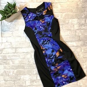 Cynthia Rowley purp/blue Sleeveless Dress Sz 8